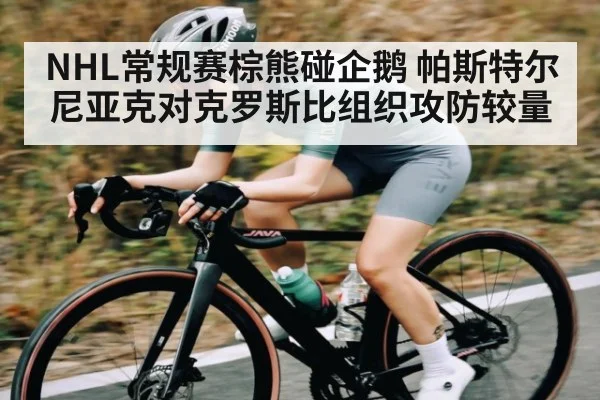 NHL常规赛棕熊碰企鹅 帕斯特尔尼亚克对克罗斯比组织攻防较量