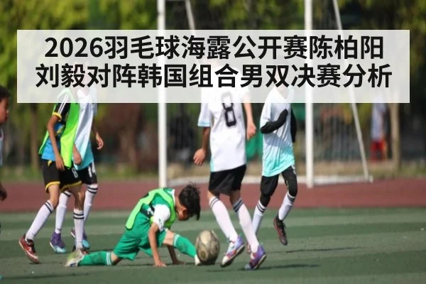 2026羽毛球海露公开赛陈柏阳刘毅对阵韩国组合男双决赛分析